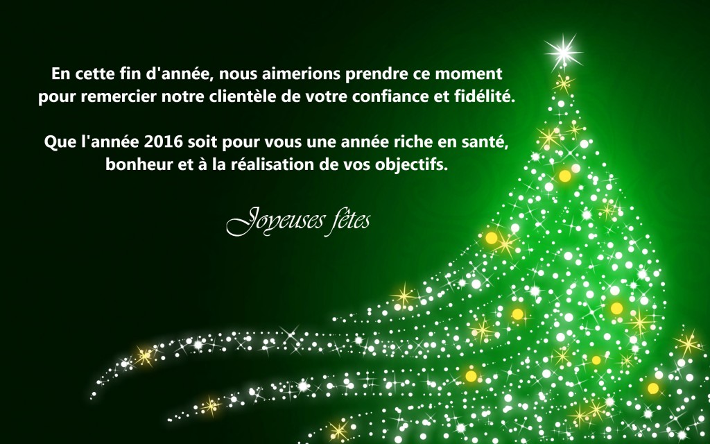 Joyeuses Fêtes 2016